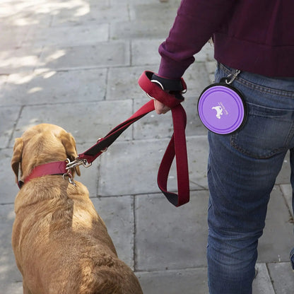 Collapsible Dog Bowls for Travel, 2-Pack Dog Portable Water Bowl for Dogs Cats Pet Foldable Feeding Watering Dish for Traveling Camping Walking with 2 Carabiners, BPA Free